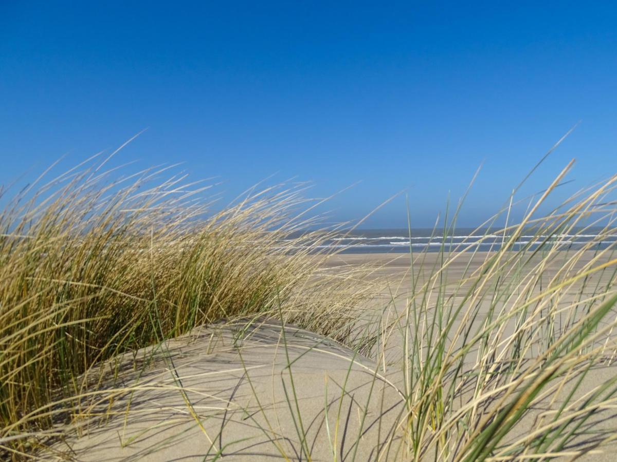 B&B De Drukkerij Zandvoort - Luxury Private Guesthouse エクステリア 写真